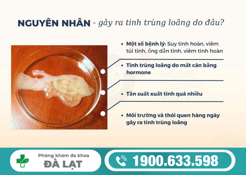 Hình ảnh minh họa